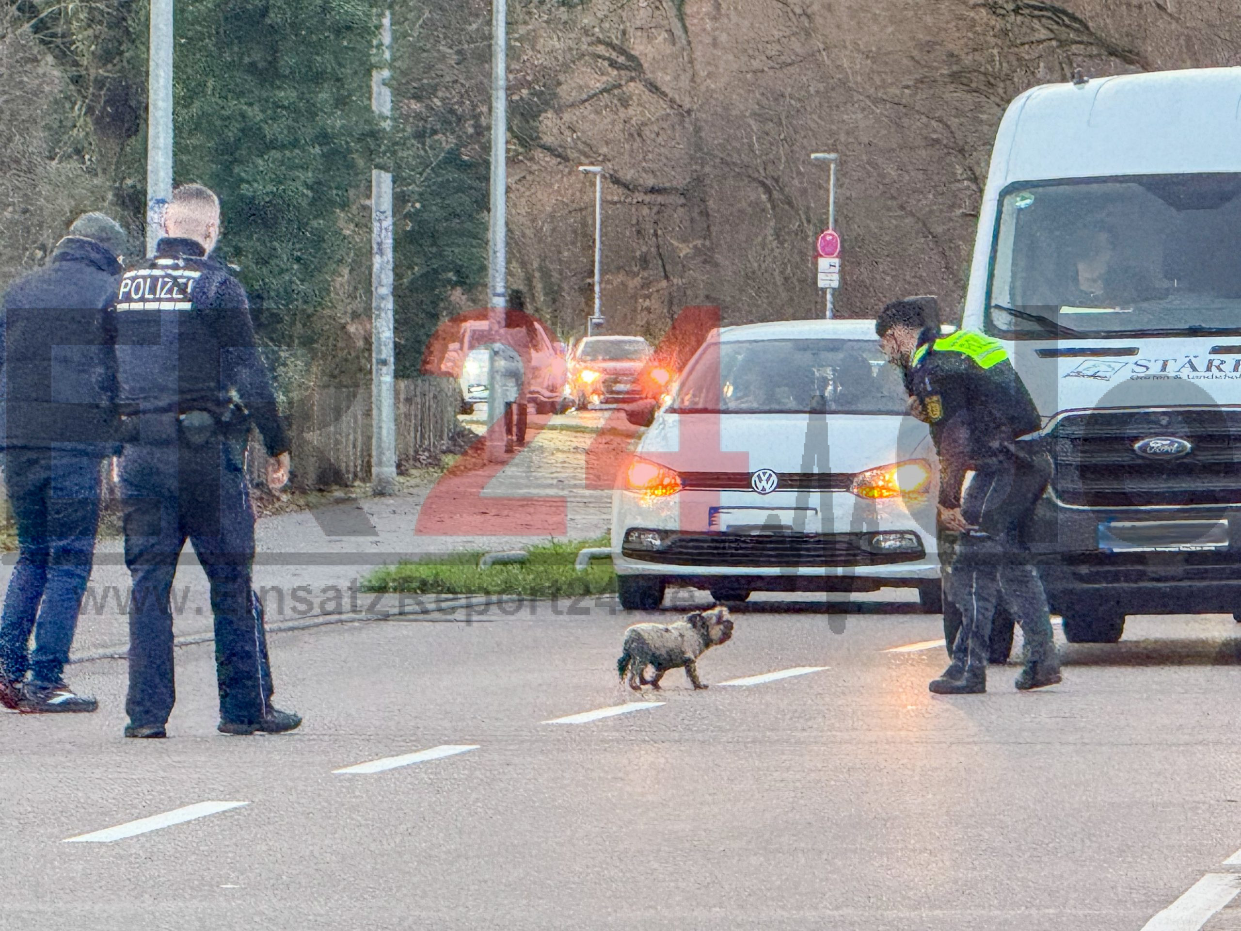 Foto 01.12.25, 15 58 53