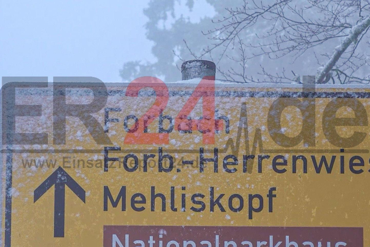 Foto 17.02.26, 20 31 54