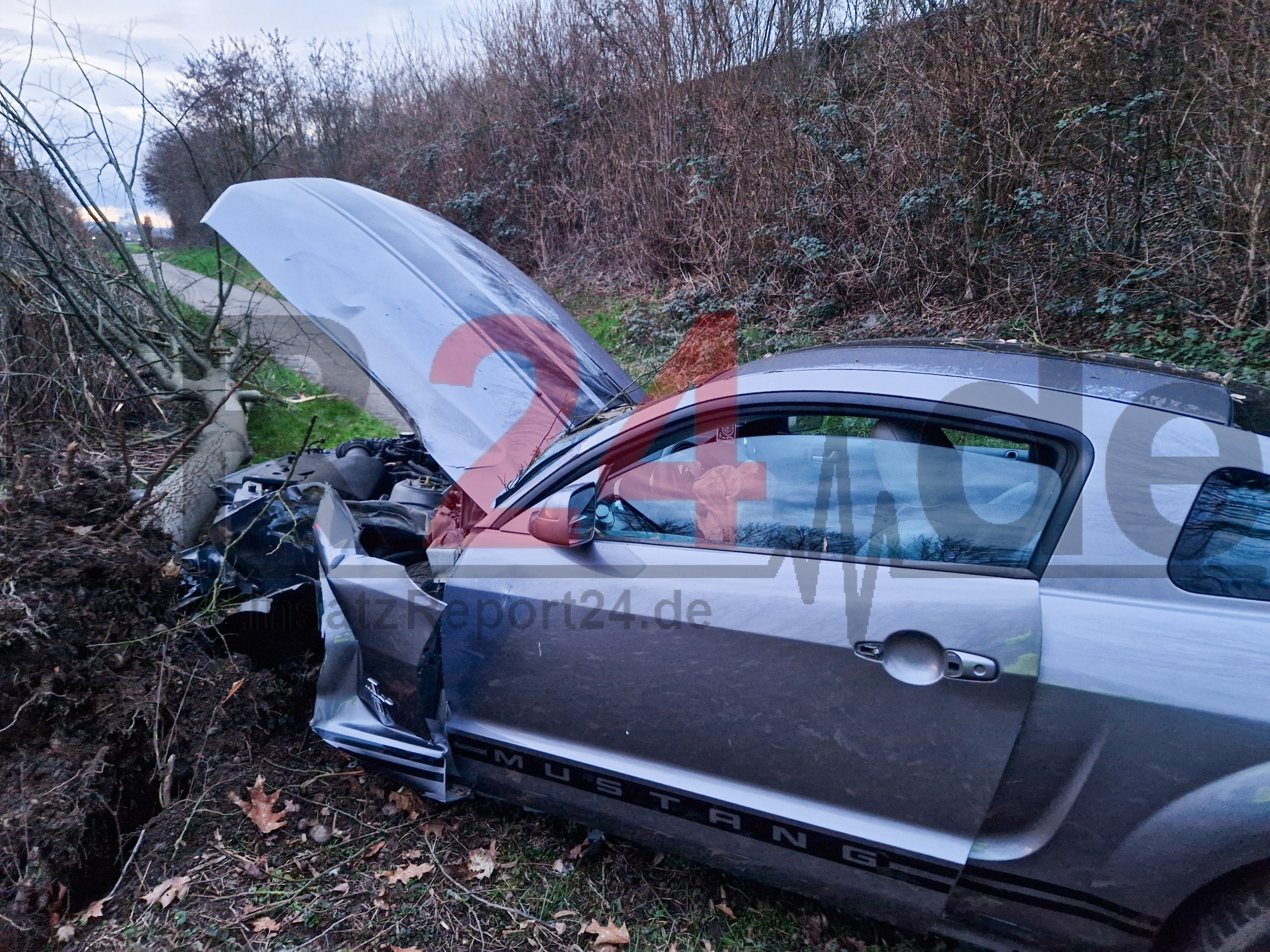 Foto 28.02.26, 18 25 51